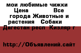 мои любимые чижки › Цена ­ 15 000 - Все города Животные и растения » Собаки   . Дагестан респ.,Кизляр г.